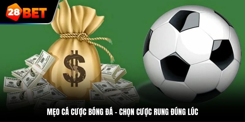 Mẹo cá cược bóng đá - Chọn cược rung đúng lúc