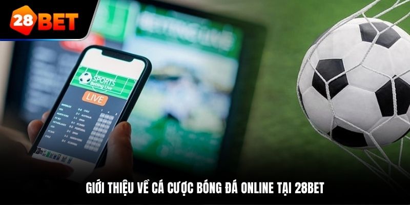 Giới thiệu về cá cược bóng đá online tại 28Bet