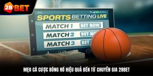 mẹo cá cược bóng rổ